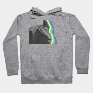 Echo Boston Terrier Hoodie